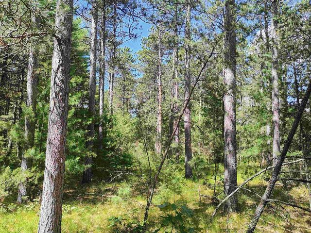 5.6 Acres 16th Avenue, Arkdale, WI 54613