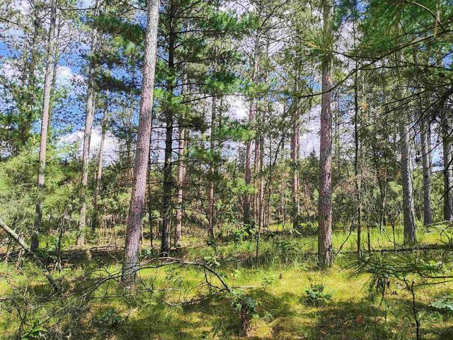 5.6 Acres 16th Avenue, Arkdale, WI 54613