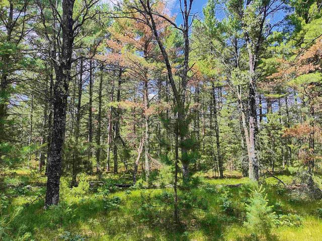 5.6 Acres 16th Avenue, Arkdale, WI 54613