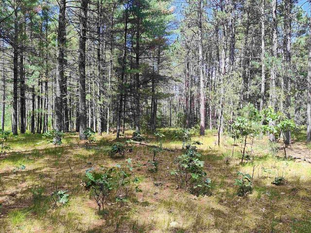 5.6 Acres 16th Avenue, Arkdale, WI 54613