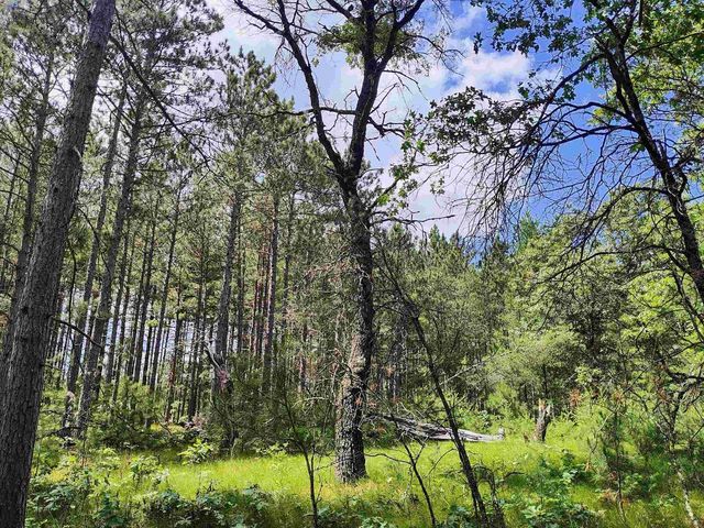 5.6 Acres 16th Avenue, Arkdale, WI 54613
