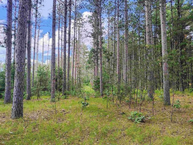 5.6 Acres 16th Avenue, Arkdale, WI 54613