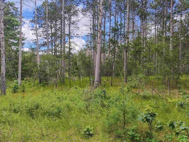 5.6 Acres 16th Avenue, Arkdale, WI 54613