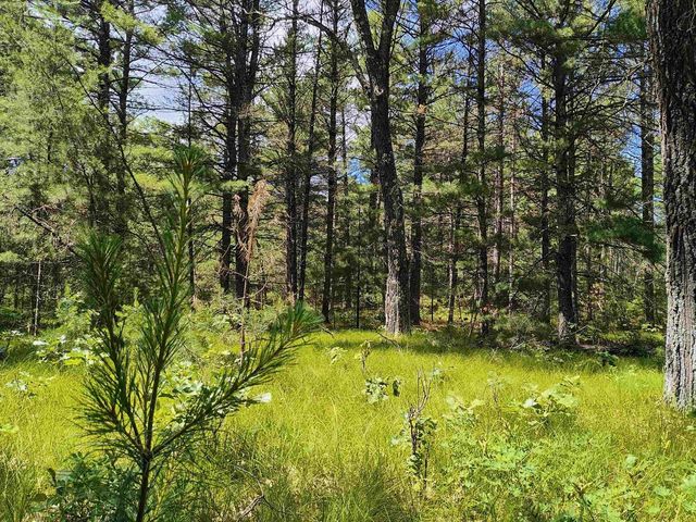 5.6 Acres 16th Avenue, Arkdale, WI 54613