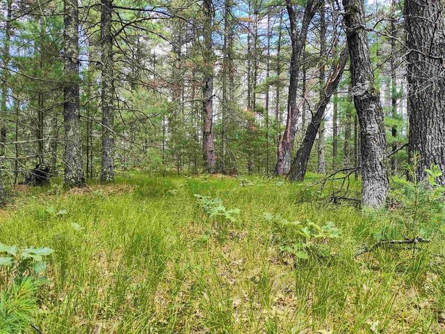 5.6 Acres 16th Avenue, Arkdale, WI 54613