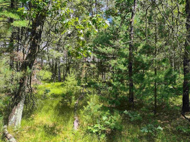 5.6 Acres 16th Avenue, Arkdale, WI 54613