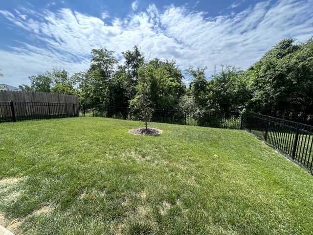 1248 Dutch Peak, Lebanon, TN 37090