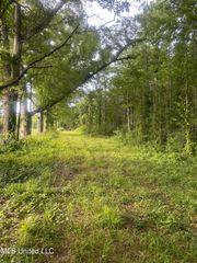 00 E Old Hwy 80, Morton, MS 39117