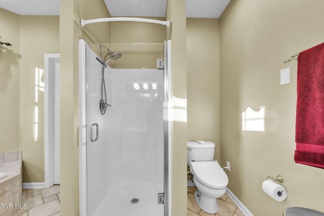 25021 Grey Heron Court, Abingdon, VA 24211