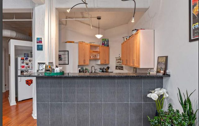 124 W Polk Street 605, Chicago, IL 60605