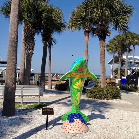 2617 BELLHURST DRIVE, Dunedin, FL 34698