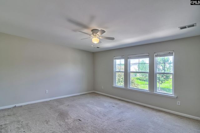 453 Crawley Lane, Chapin, SC 29036