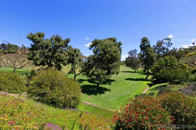 3040 CAMINITO TERCER VERDE, Del Mar, CA 92014