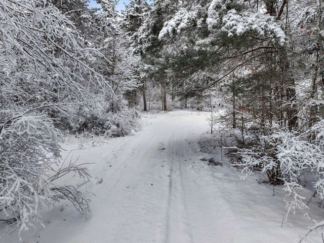 1216 Hoch Road, Traverse City, MI 49696