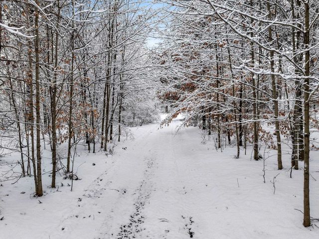 1216 Hoch Road, Traverse City, MI 49696