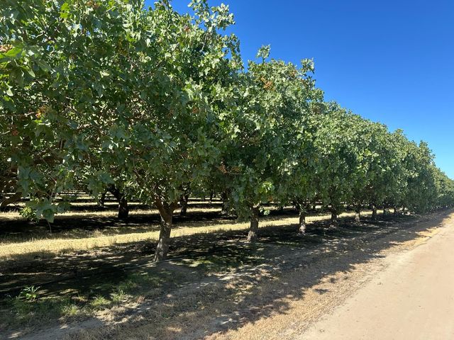 0 Road 11, Chowchilla, CA 93610