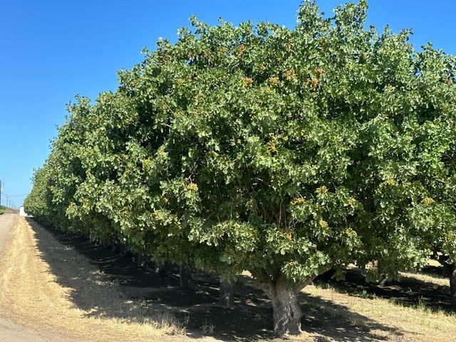 0 Road 11, Chowchilla, CA 93610