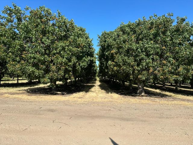 0 Road 11, Chowchilla, CA 93610