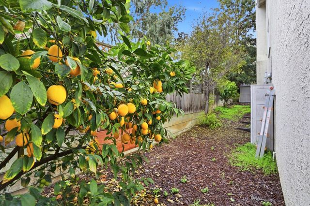 3572 Sunnydays Lane, Santa Clara, CA 95051