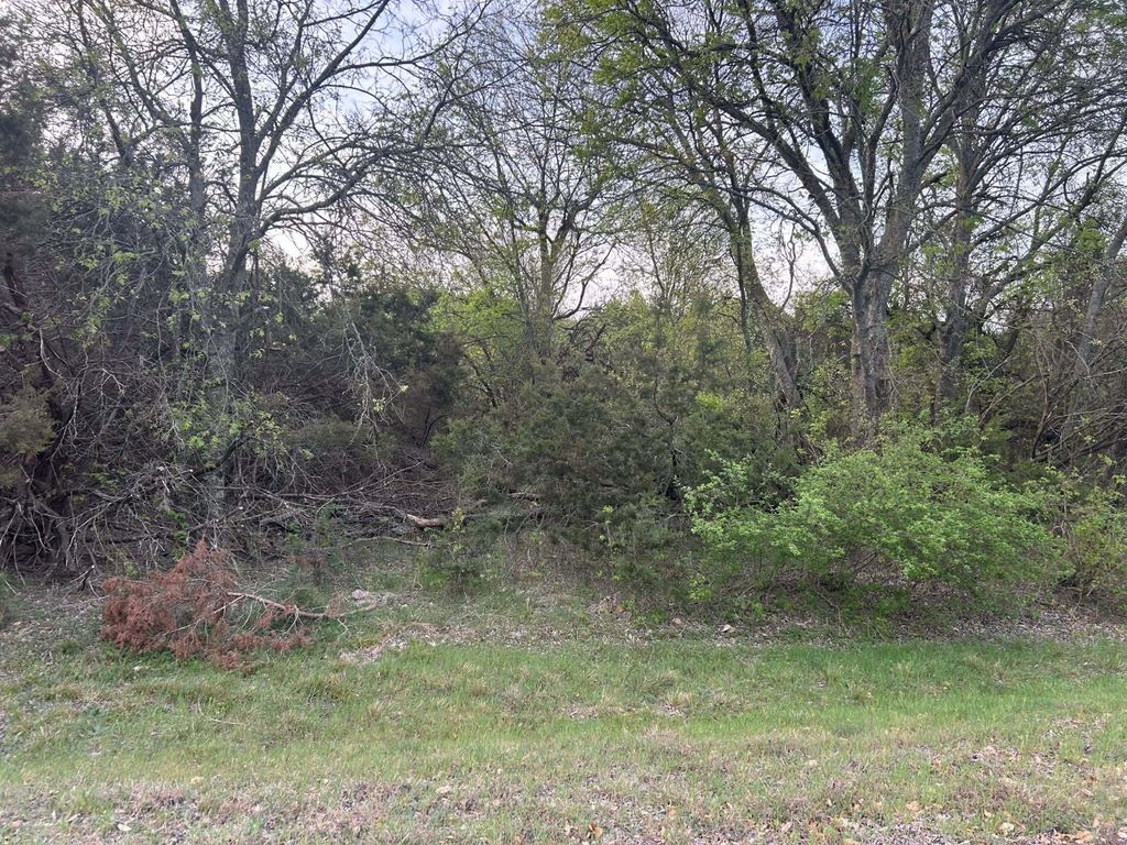 8116 High Mesa Drive, Whitney, TX 76692