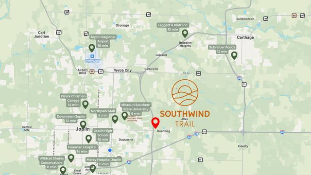 316 Molly Dean Drive, Duenweg, MO 64841