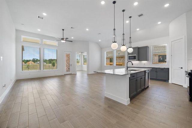 18060 Brennie Bird Lane, Conroe, TX 77302