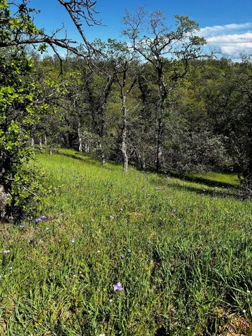 8.6 AC - Sunpoint Road, Cottonwood, CA 96022