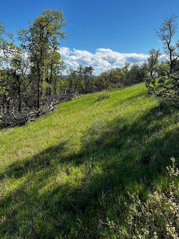 8.6 AC - Sunpoint Road, Cottonwood, CA 96022