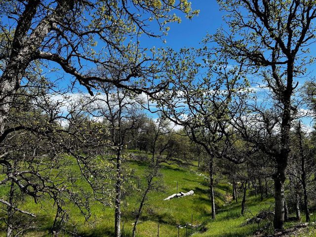 8.6 AC - Sunpoint Road, Cottonwood, CA 96022