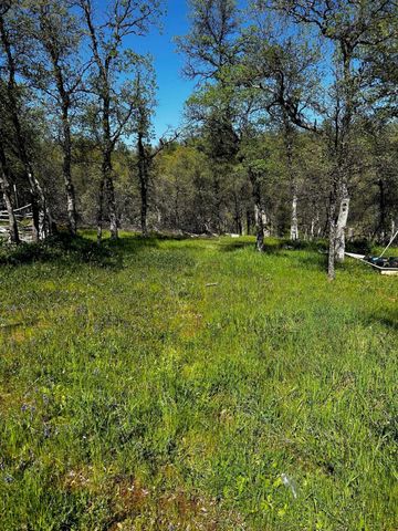 8.6 AC - Sunpoint Road, Cottonwood, CA 96022