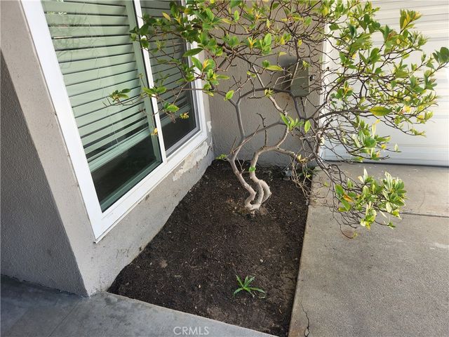 20518 Napa, Winnetka, CA 91306