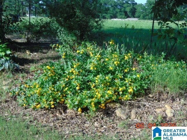 45 COUNTY ROAD 1060, Clanton, AL 35045
