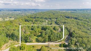 0 Davis Ridge Road, Ringgold, GA 30736