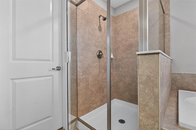 28622 TRANQUIL LAKE CIRCLE, Wesley Chapel, FL 33543