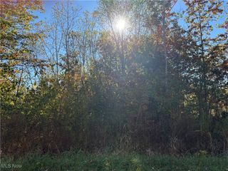 Pearl Avenue, Lorain, OH 44055