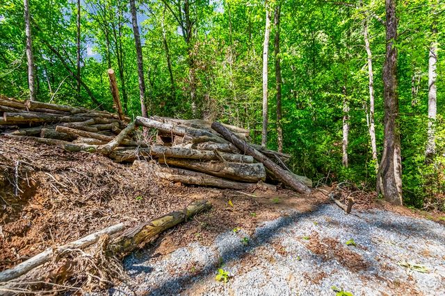 1472 Nugget Lane, Ellijay, GA 30540
