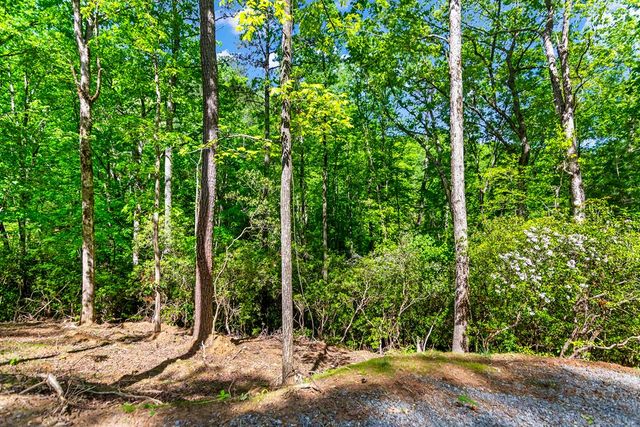 1472 Nugget Lane, Ellijay, GA 30540