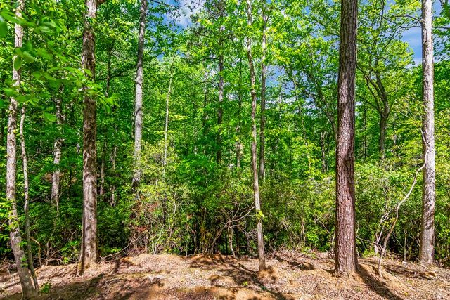 1472 Nugget Lane, Ellijay, GA 30540