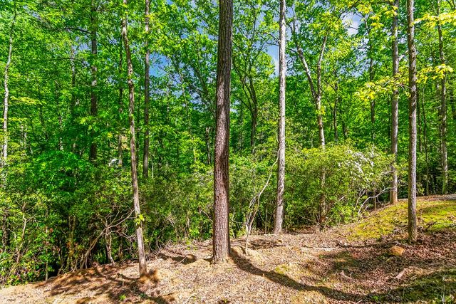 1472 Nugget Lane, Ellijay, GA 30540