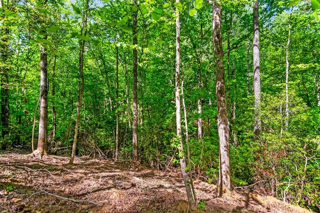 1472 Nugget Lane, Ellijay, GA 30540