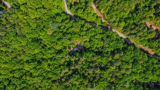 1472 Nugget Lane, Ellijay, GA 30540