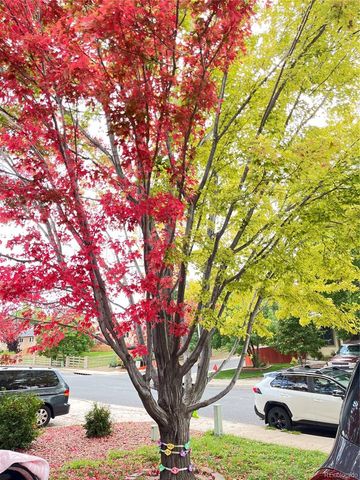 1310 Chesham Circle, Colorado Springs, CO 80907