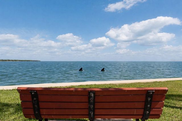 7540 SUNSHINE SKYWAY LANE S T35, St Petersburg, FL 33711