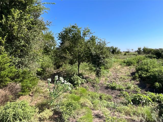 TBD Farm rd 221, Pottsville, TX 76565