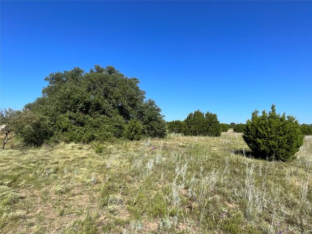 TBD Farm rd 221, Pottsville, TX 76565