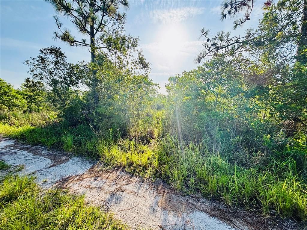 0 SHAKEDOWN STREET, St Cloud, FL 34773