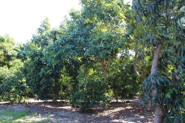 1550 Santa Paula Street, Fillmore, CA 93015