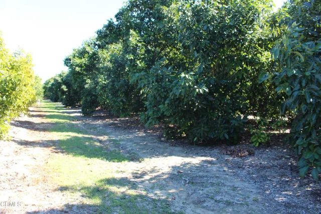 1550 Santa Paula Street, Fillmore, CA 93015