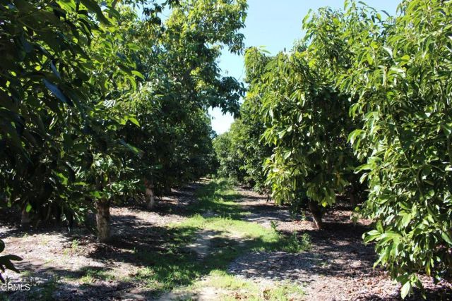 1550 Santa Paula Street, Fillmore, CA 93015