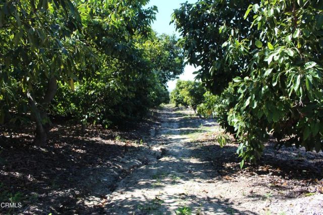 1550 Santa Paula Street, Fillmore, CA 93015